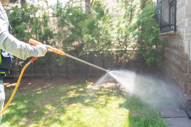 Professional Pest Control in Hughestown, PA